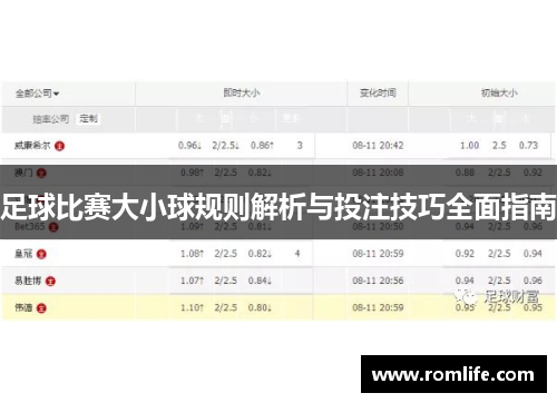 足球比赛大小球规则解析与投注技巧全面指南