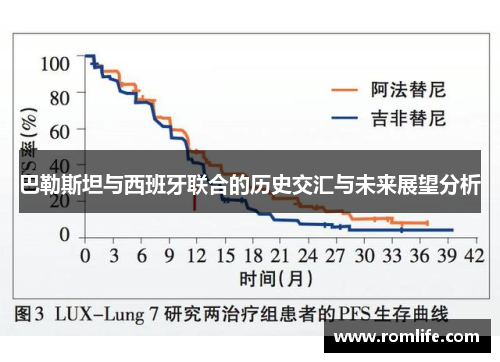 巴勒斯坦与西班牙联合的历史交汇与未来展望分析
